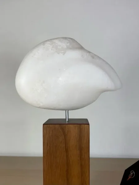 Slapende zwaan op houten herdenkingsdoosje-sokkel